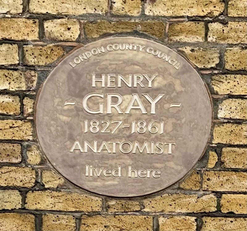 Henry Gray Marker image. Click for full size.