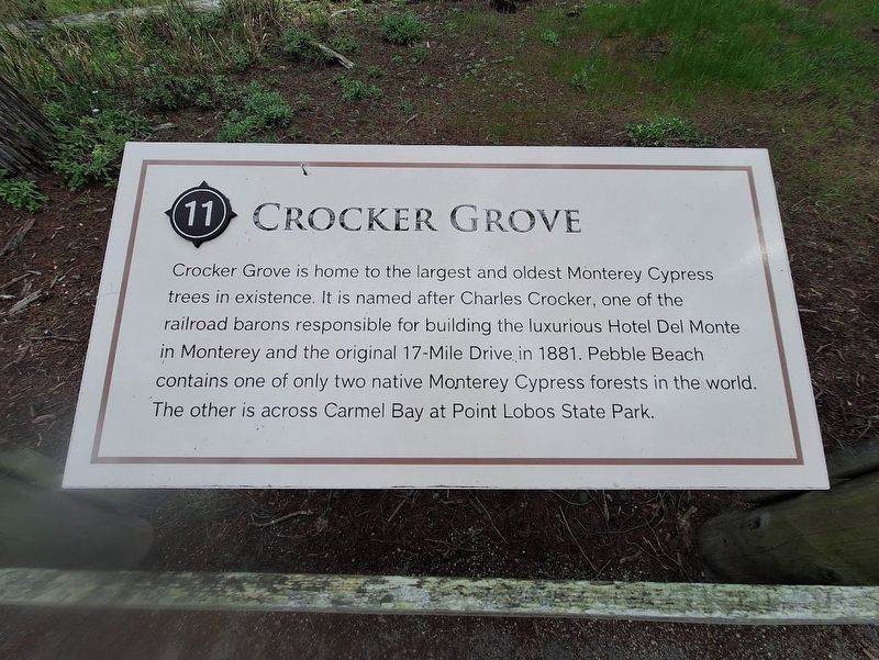 Crocker Grove Marker image. Click for full size.