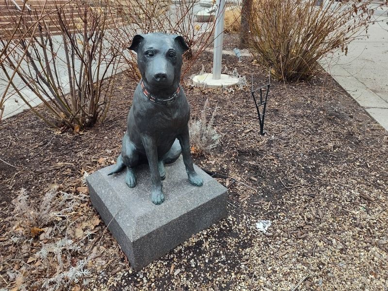 The Valor of Companionship: Daniel Stearns and Harvey's Legacy Marker. Click for full size. The Valor of Companionship: Daniel Stearns and Harvey's Legacy Marker image. Click for full size.