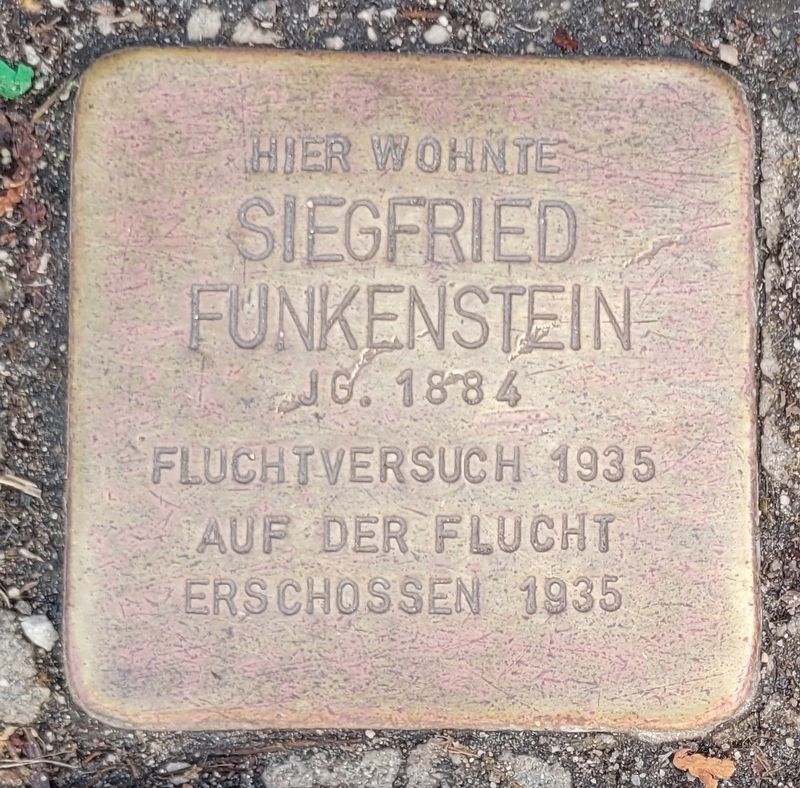 Siegfried Funkenstein Marker. Click for full size. Siegfried Funkenstein Marker image. Click for full size.