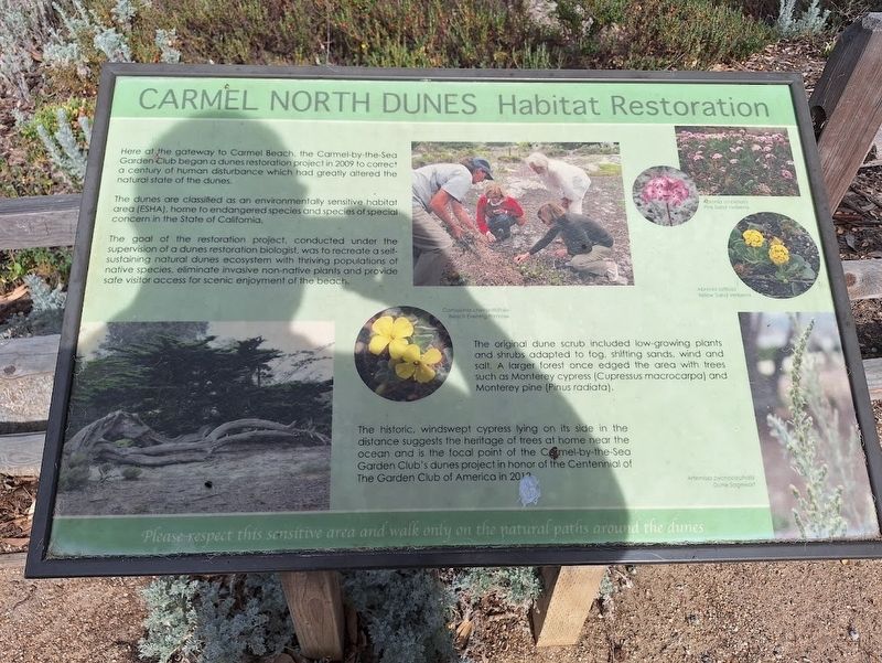 Carmel North Dunes Habitat Restoration Marker image. Click for full size.