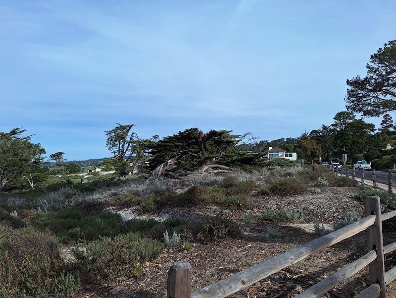 Carmel North Dunes Habitat Restoration Marker image. Click for full size.