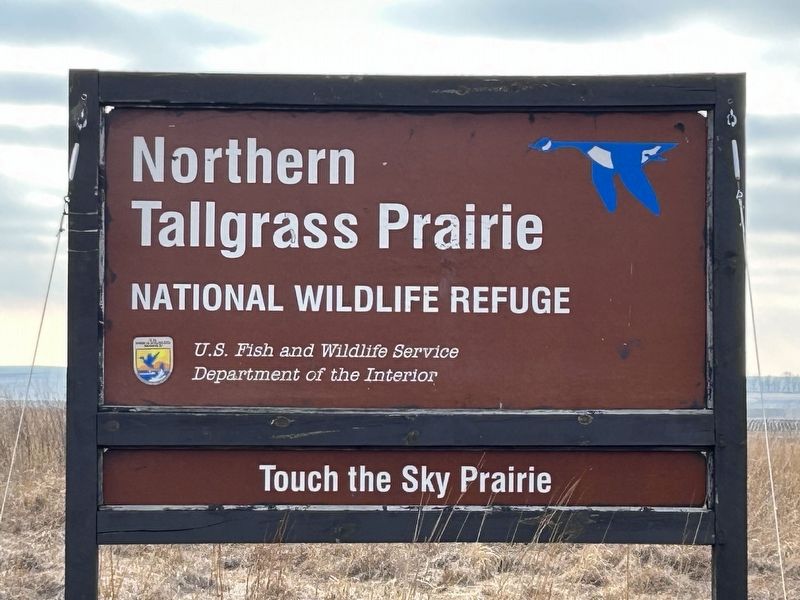 Northern Tallgrass Prairie Sign with Blue Goose Logo. Click for full size. Northern Tallgrass Prairie Sign with Blue Goose Logo image. Click for full size.