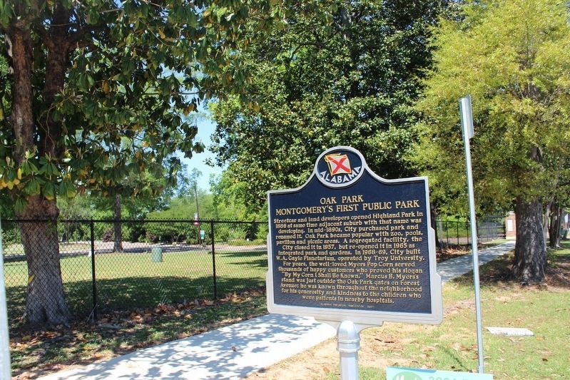 Forest Avenue's Medical Facilities / Oak Park Montgomery's First Public Park Marker image. Click for full size.