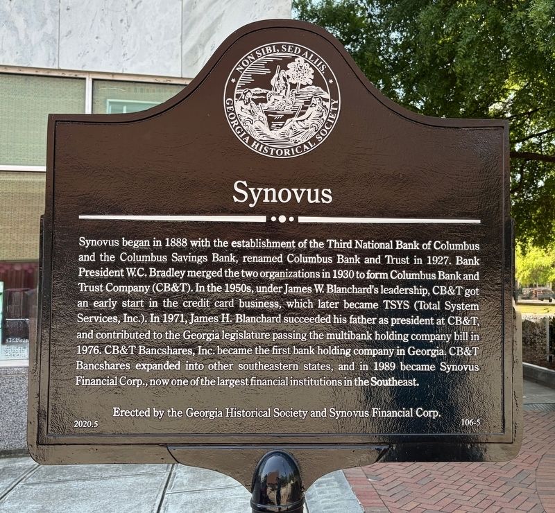 Synovus Marker image. Click for full size.