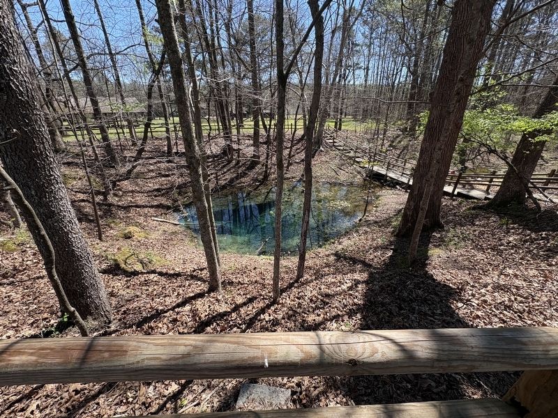 The Great Council Spring also known as Blue Spring. image. Click for full size.