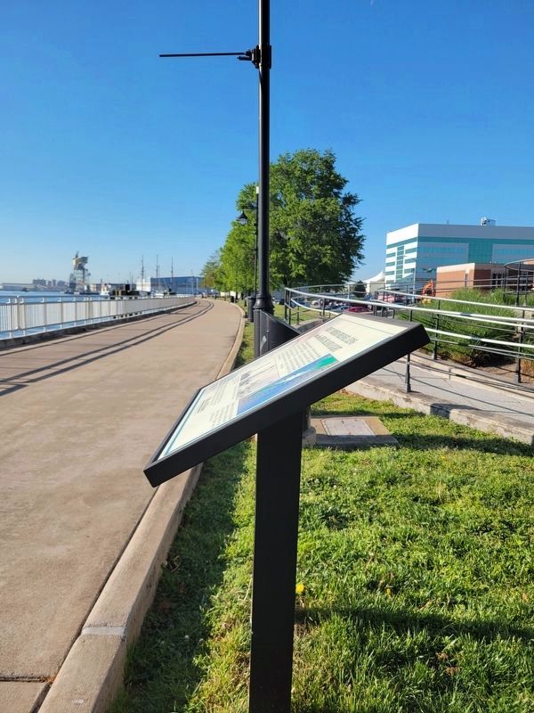 First Order Fresnel Lens from the Hog Island Light Marker. Click for full size. First Order Fresnel Lens from the Hog Island Light Marker image. Click for full size.