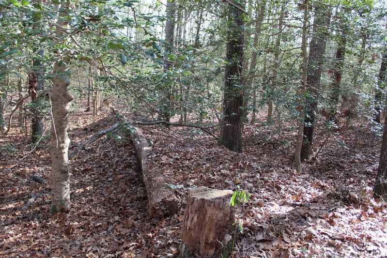Trenches image. Click for full size.