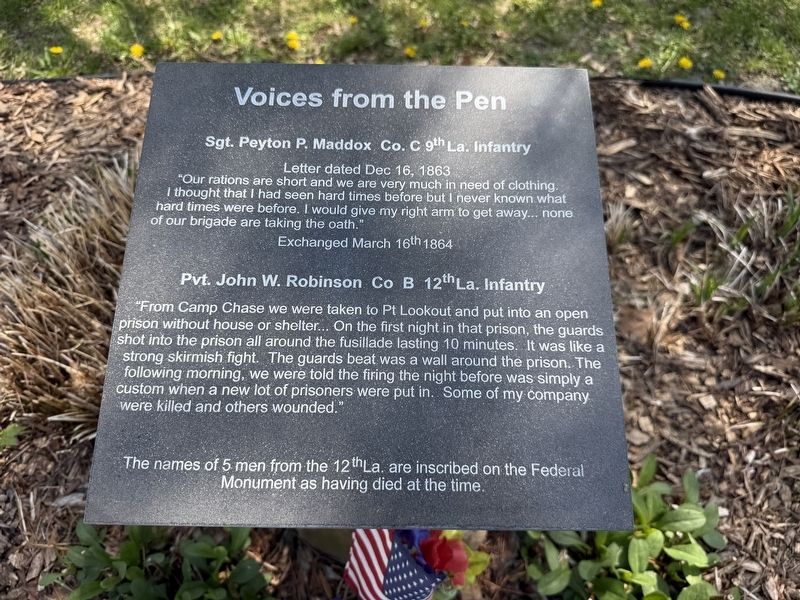 Sgt. Peyton P. Maddox / Pvt. W. Robinson Marker image. Click for full size.