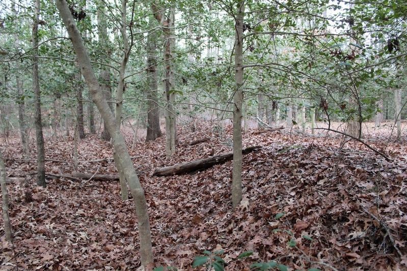 Trenches. Click for full size. Trenches image. Click for full size.