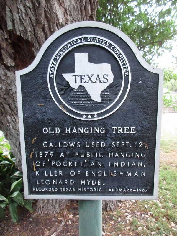 Old Hanging Tree Marker. Click for full size. Old Hanging Tree Marker image. Click for full size.