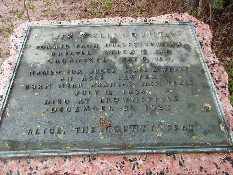 Jim Wells County Marker. Click for full size. Jim Wells County Marker image. Click for full size.