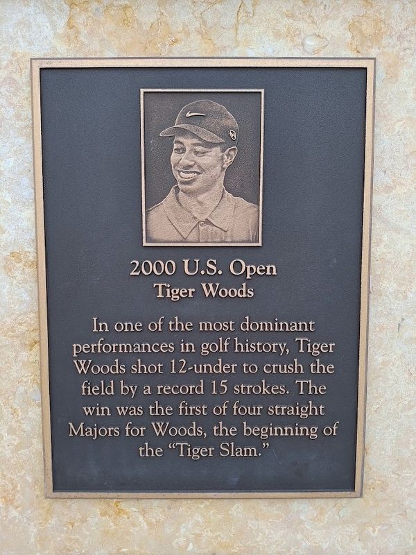Tiger Woods Marker. Click for full size. Tiger Woods Marker image. Click for full size.
