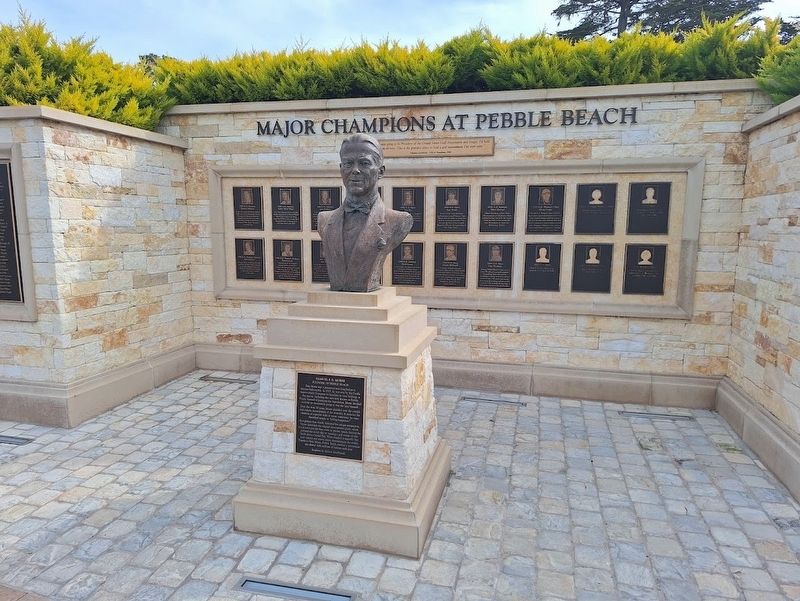 Tiger Woods Marker. Click for full size. Tiger Woods Marker image. Click for full size.
