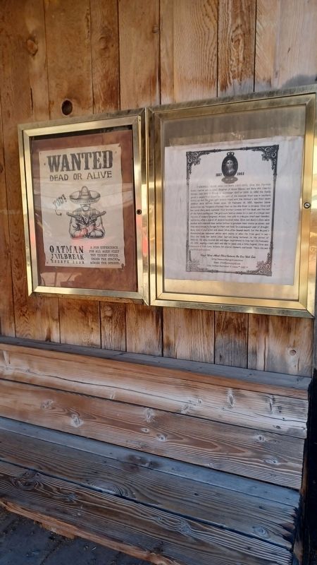 Fairchild, Olive and Oatman (1837 - 1903) Marker image. Click for full size.