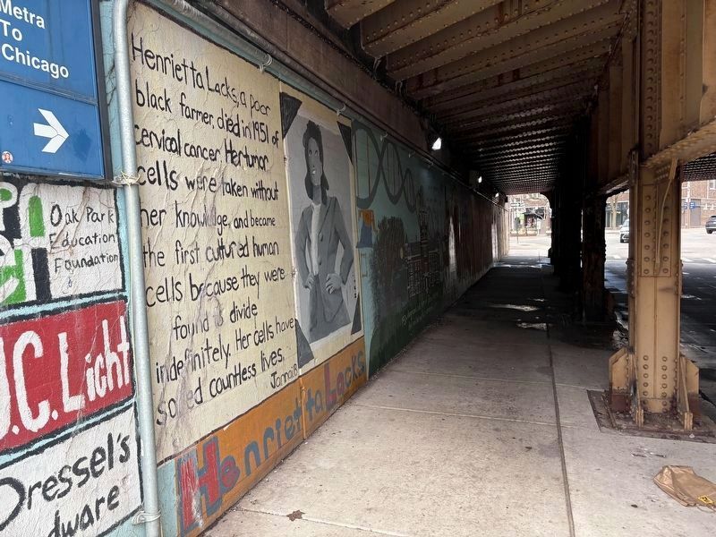 Henrietta Lacks Mural. Click for full size. Henrietta Lacks Mural image. Click for full size.