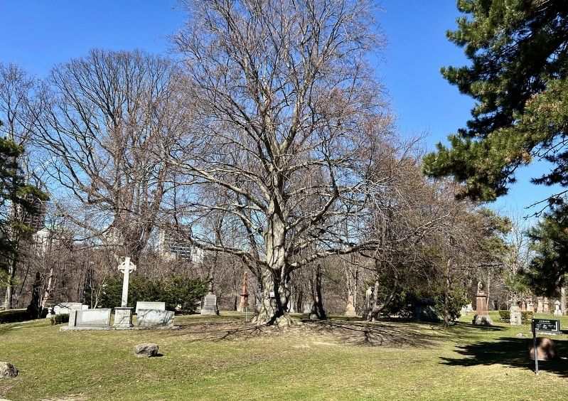 Mount Pleasant Cemetery image. Click for full size.