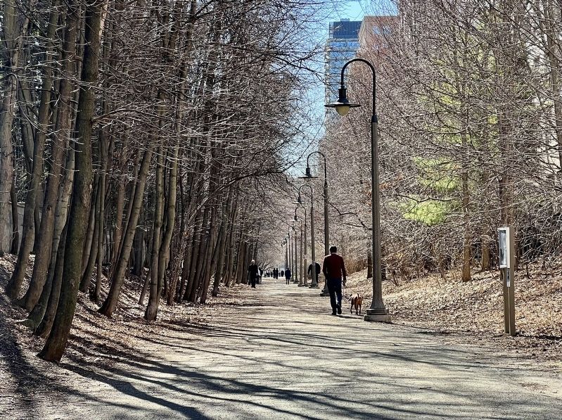 Kay Gardner Beltline Park, in 2026, along the northern boundary of Mount Pleasant Cemetery image. Click for full size.