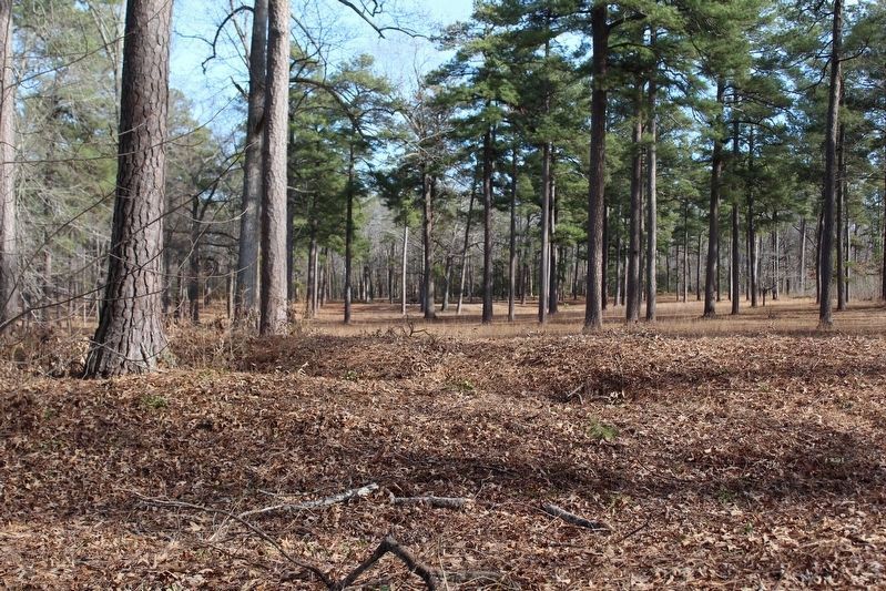 Confederate Fortifications. Click for full size. Confederate Fortifications image. Click for full size.