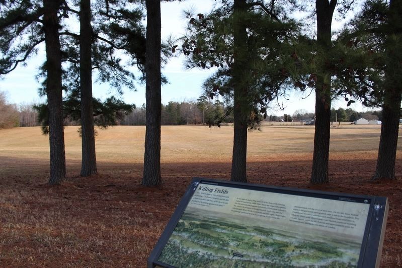 Killing Fields Marker image. Click for full size.