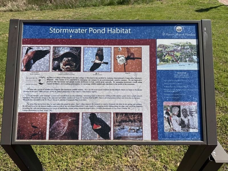 Stormwater Pond Habitat Marker image. Click for full size.