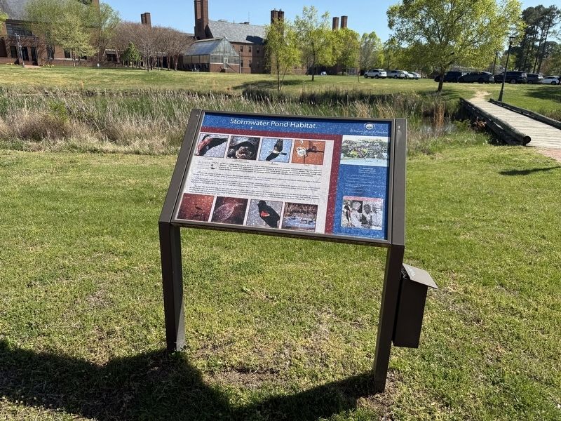 Stormwater Pond Habitat Marker image. Click for full size.