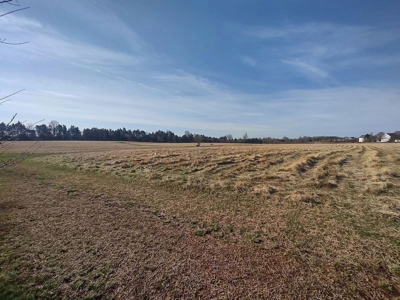 View from the Louisianans image. Click for full size.