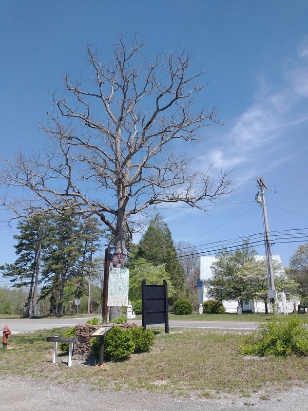 Welcome to Beersheba Springs Marker image. Click for full size.