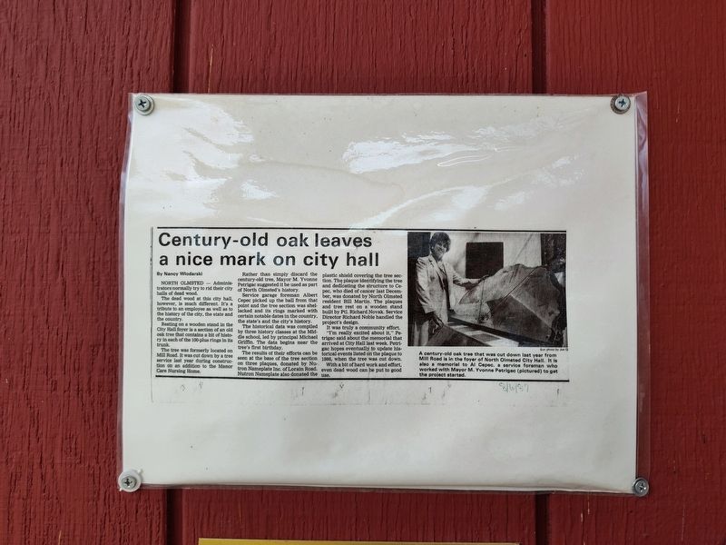 Centuries-old oak leaves a nice mark on city hall. image. Click for full size.
