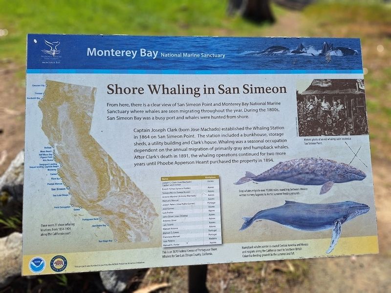 Shore Whaling in San Simeon Marker. Click for full size. Shore Whaling in San Simeon Marker image. Click for full size.