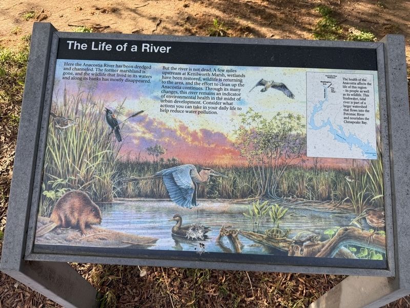 The Life of a River Marker image. Click for full size.