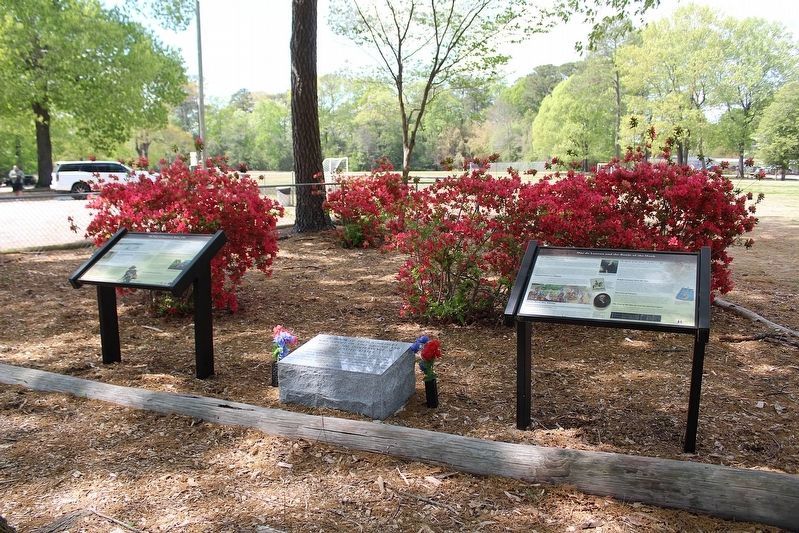 Battle of the Hook Core Battlefield Area image. Click for full size.