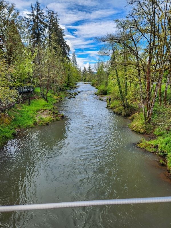 Coast Fork of Willamette River. Click for full size. Coast Fork of Willamette River image. Click for full size.