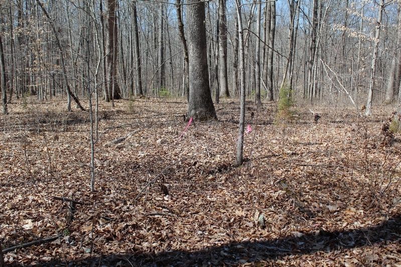 Confederate Encampment Borrow Pits. Click for full size. Confederate Encampment Borrow Pits image. Click for full size.