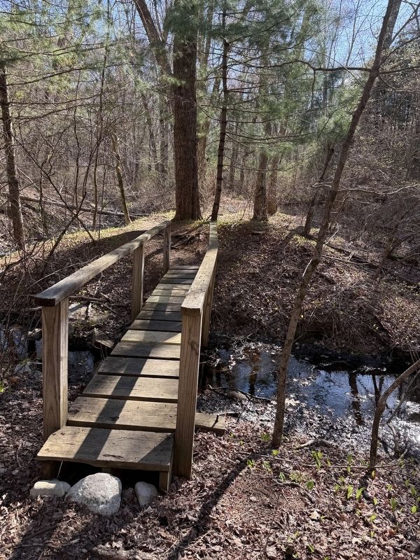 King Philip’s Rock Trails. Click for full size. King Philip’s Rock Trails image. Click for full size.