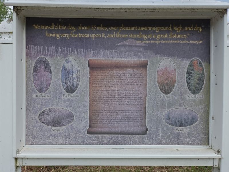 The Town Creek Indian Mound Prairie Reconstruction Marker. Click for full size. The Town Creek Indian Mound Prairie Reconstruction Marker image. Click for full size.