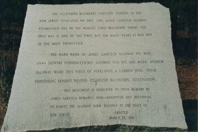 The Cultivated Blueberry Industry Marker image. Click for full size.
