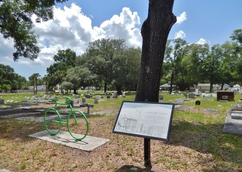 A.M.E. Zion Cemetery Marker image. Click for full size.