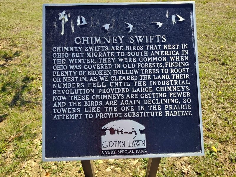 Chimney Swifts Marker. Click for full size. Chimney Swifts Marker image. Click for full size.
