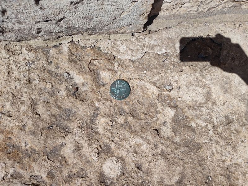 Holy Family Church Benchmark image. Click for full size.