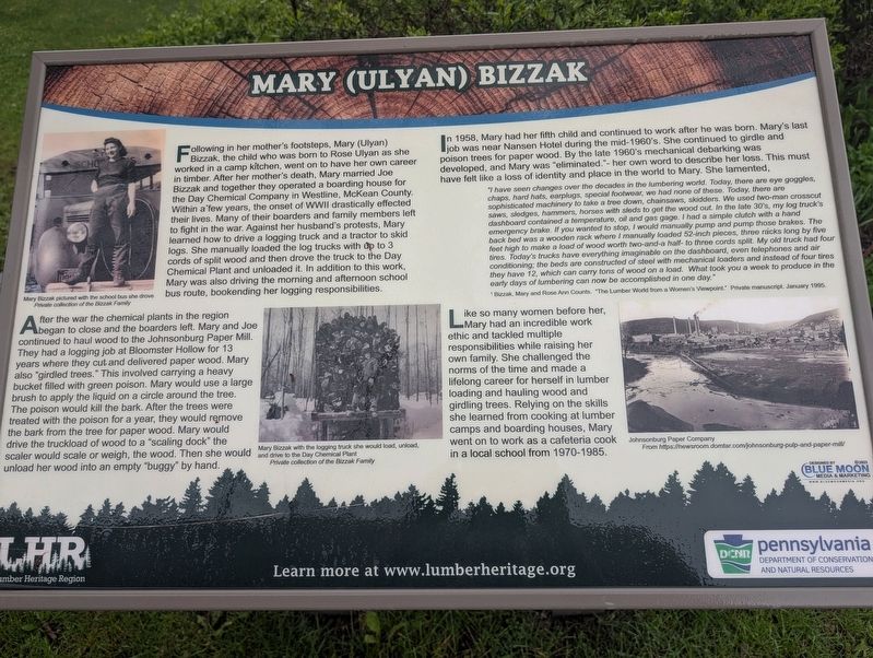 Mary Ulyan Bizzak Marker image. Click for full size.