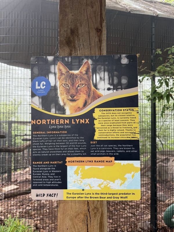 Northern Lynx Marker image. Click for full size.