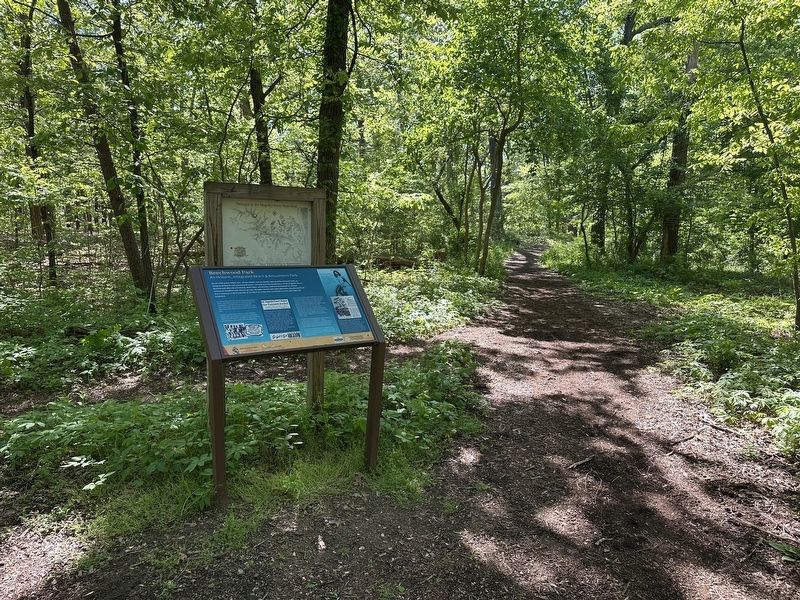 Beechwood Park Marker - wide view image. Click for full size.