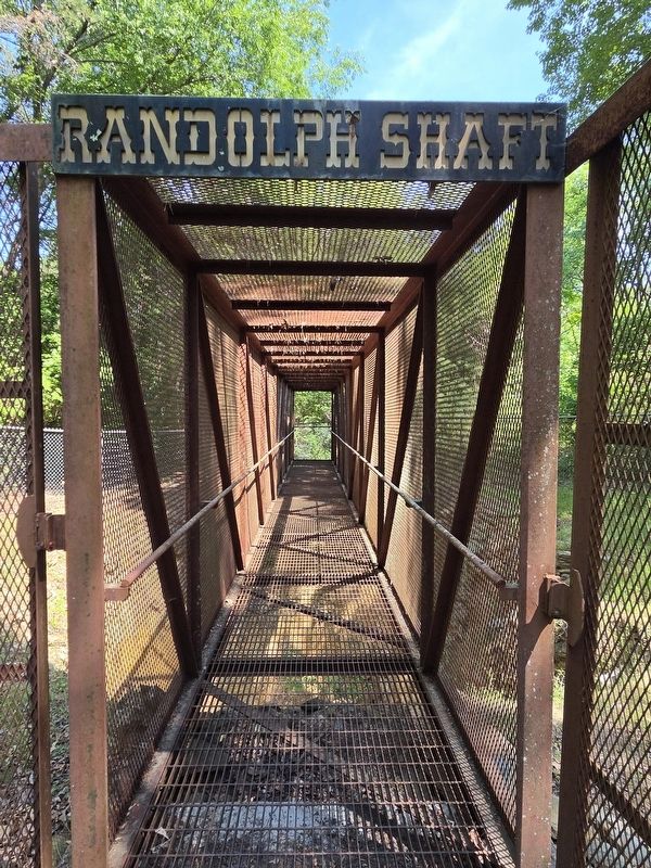 Randolph Mine Shaft image. Click for full size.