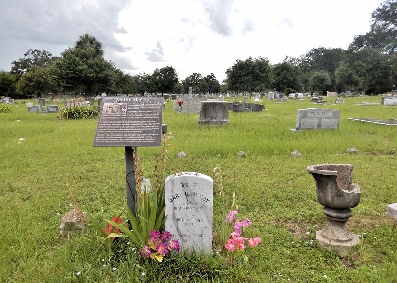 Mollie McCoy Marker image. Click for full size.