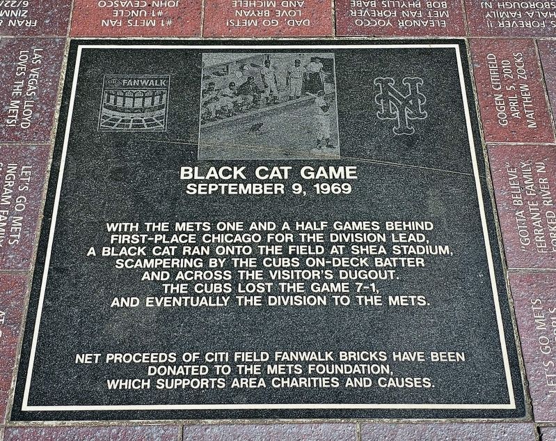 Black Cat Game Marker. Click for full size. Black Cat Game Marker image. Click for full size.