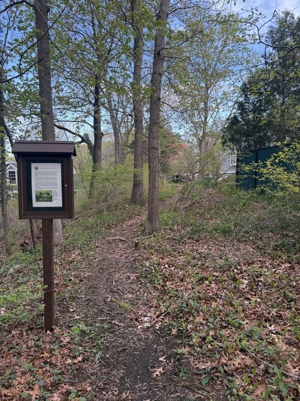 Great Abolitionist Pic Nic Marker (wide) image. Click for full size.