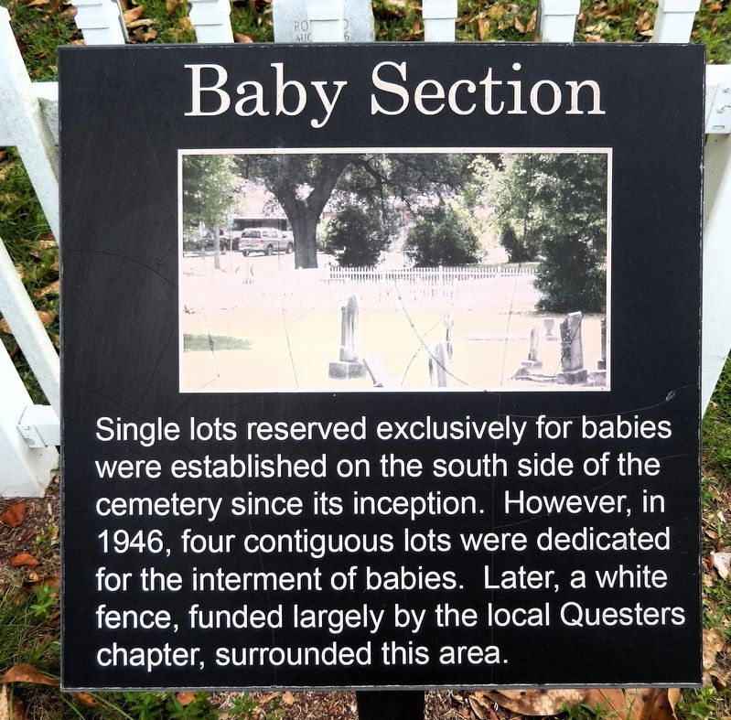 Baby Section Marker. Click for full size. Baby Section Marker image. Click for full size.