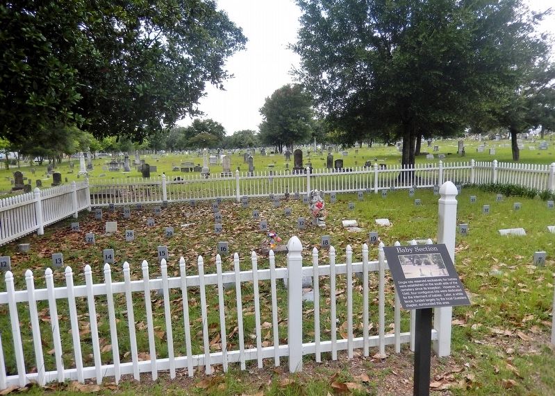 Baby Section Marker. Click for full size. Baby Section Marker image. Click for full size.