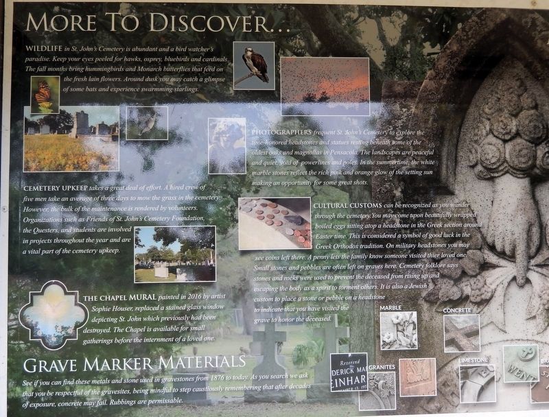 More to Discover.... Click for full size. More to Discover... image. Click for full size.
